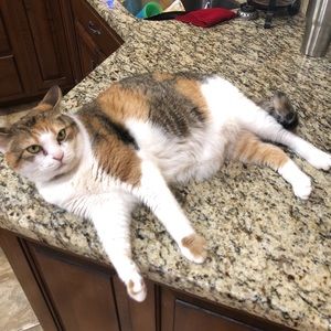 Meet your Posher, Olivia